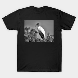 Speaking Stork in Black and White T-Shirt